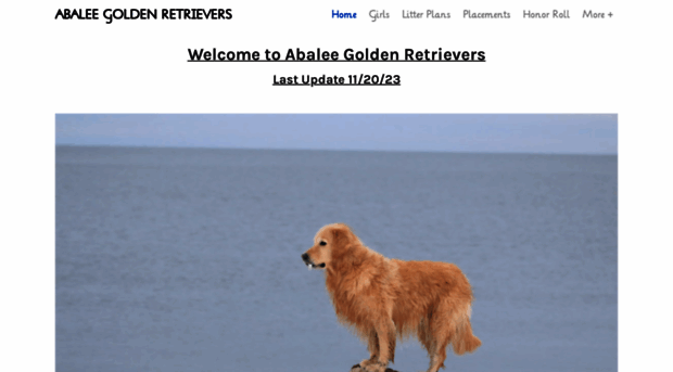 abaleegoldens.com