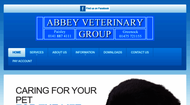 abbey-vetgroup.co.uk