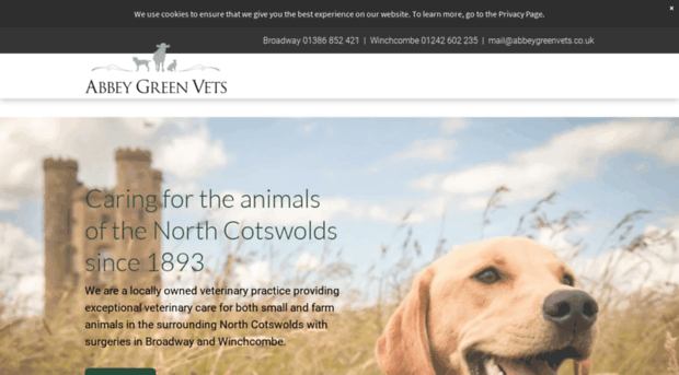 abbeygreenvets.co.uk