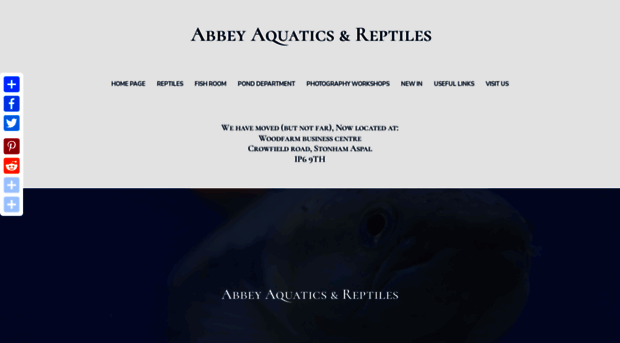 abbeyreptiles.co.uk