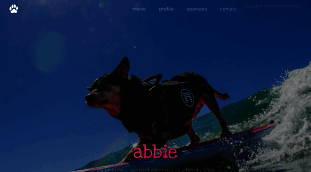 abbiesurfs.com