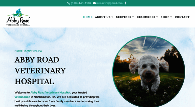 abbyroadvet.com