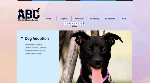 abetterchancerescue.org