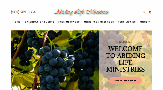 abidinglifeministries.org