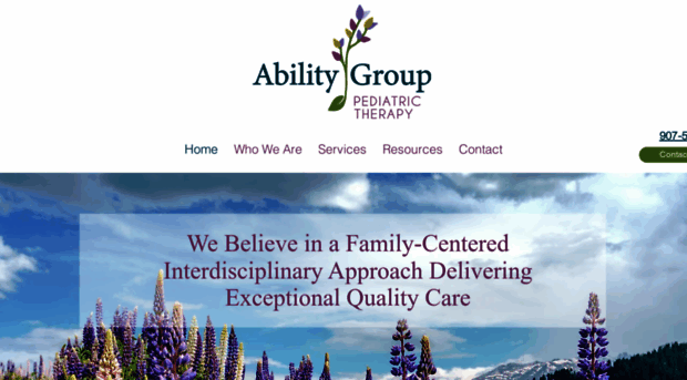 abilitygroupak.com