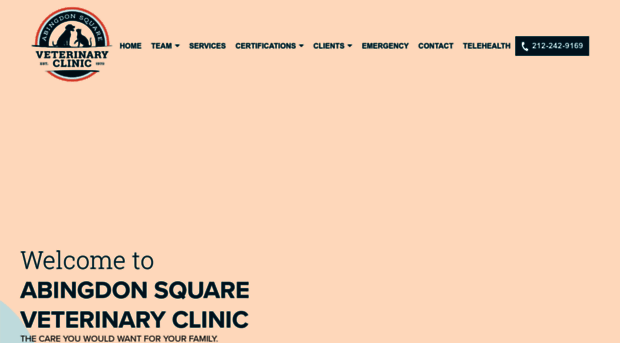 abingdonsquarevet.com