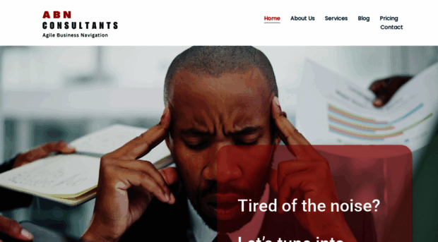 abnconsultants.in