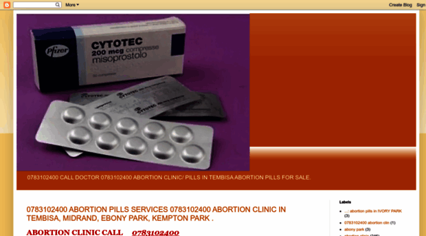 abortionclinicsam.blogspot.com