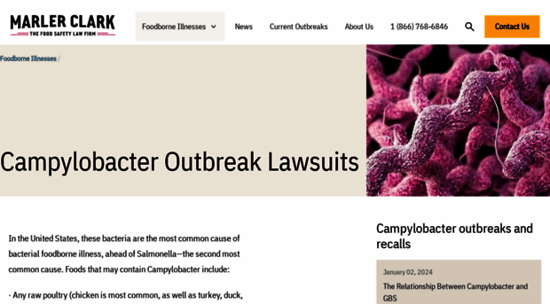 about-campylobacter.com