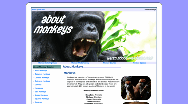 about-monkeys.com