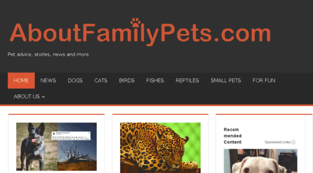 aboutfamilypets.com