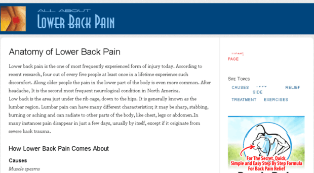 aboutlowerbackpain.net