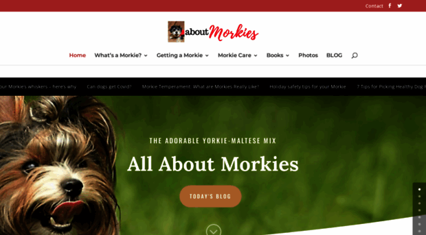 aboutmorkies.com