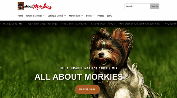 aboutmorkies.com