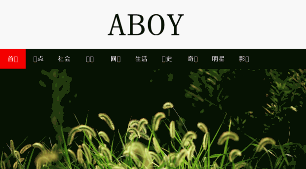 aboy.cn