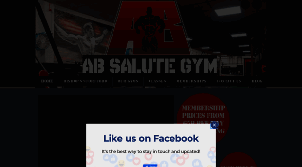 absalutegym.co.uk