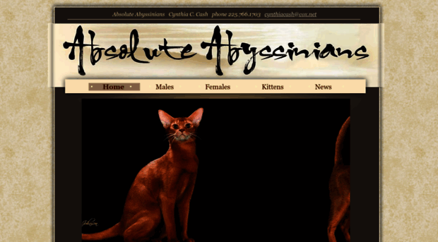 absoluteabyssinians.com