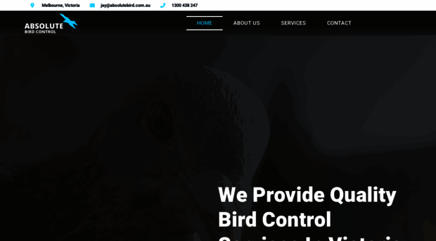 absolutebird.com.au