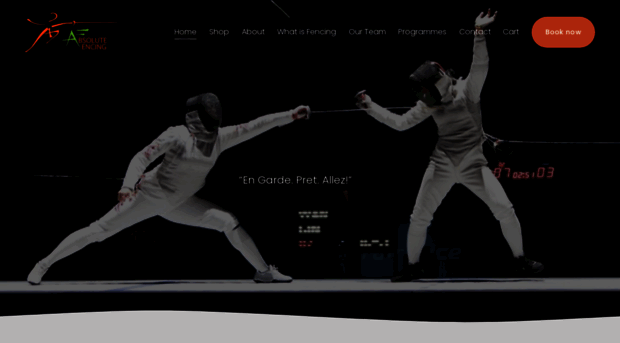 absolutefencing.com.sg