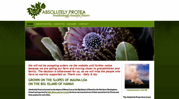 absolutelyprotea.com