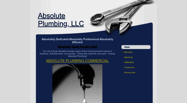 absoluteplumbingwpb.com