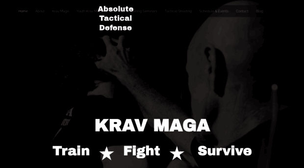 absoluteselfdefense.com