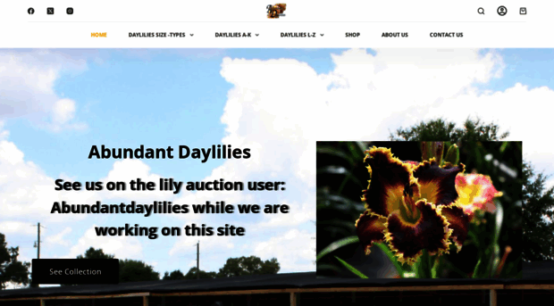 abundantdaylilies.com