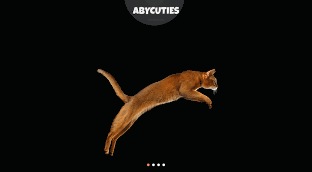 abycuties.com