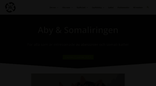 abysomali.se