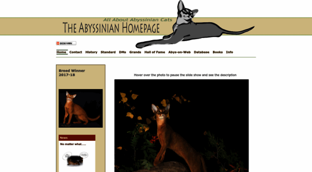 abyssiniandatabase.com