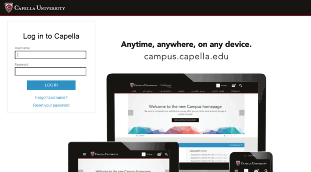 academicwriter-apa-org.library.capella.edu