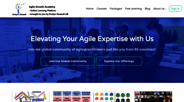 academy.evelynkonsult.se