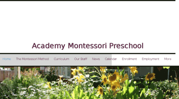 academymontessorischool.org