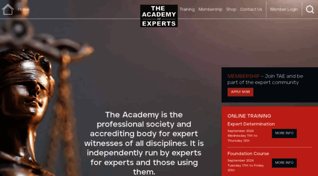 academyofexperts.org