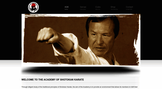 academyofshotokankarate.com