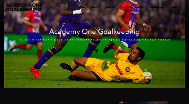 academyonegoalkeeping.com