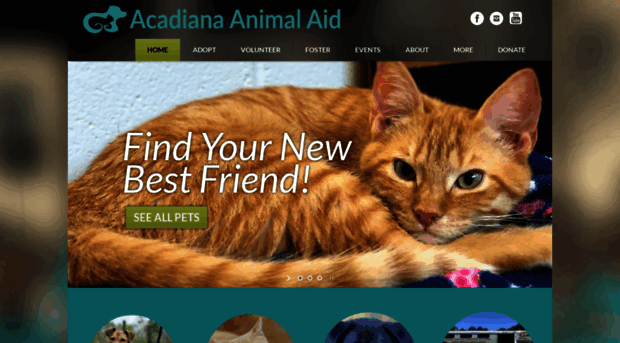 acadianaanimalaid.org