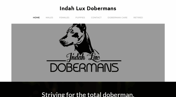 acadianadobermans.weebly.com