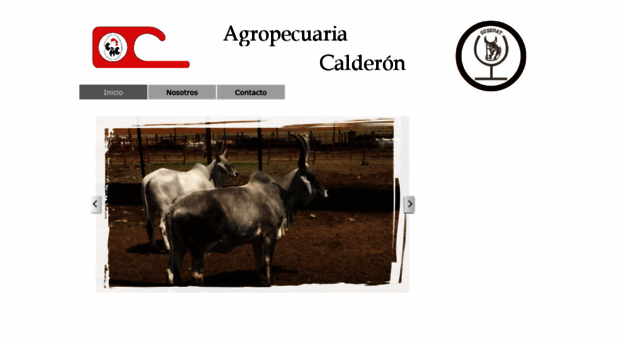 acalderon.com.mx