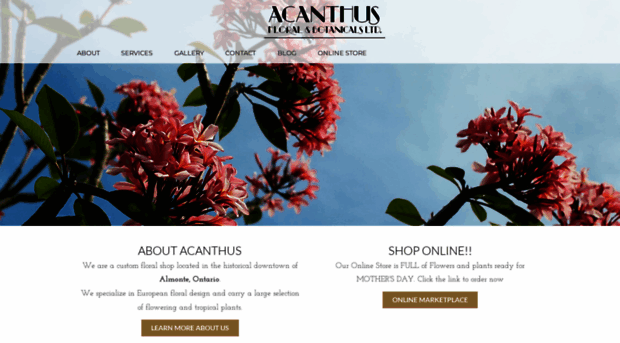 acanthusfloral.ca