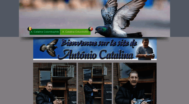 acatalina.com