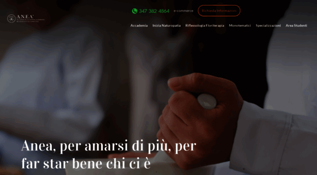 accademia-anea.com