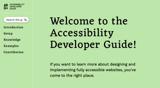 accessibility-developer-guide.com