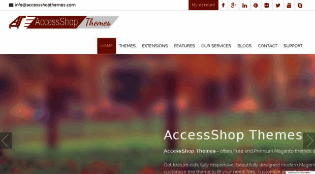 accessshopthemes.com