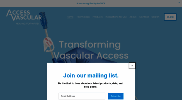 accessvascularinc.com