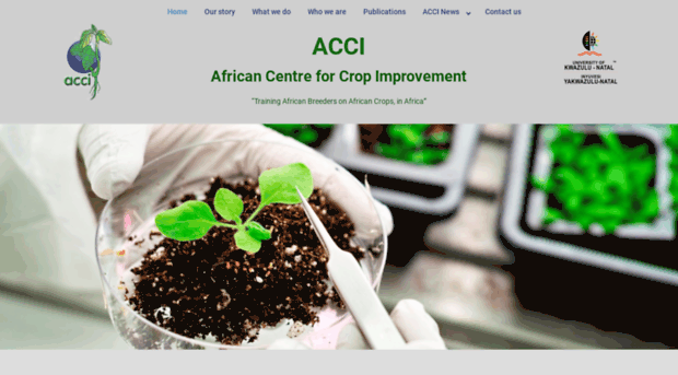 acci.org.za