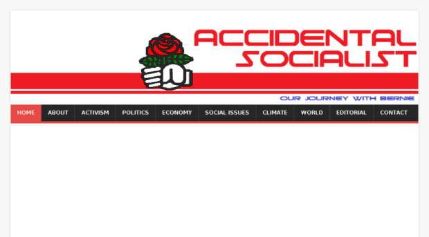 accidentalsocialist.com