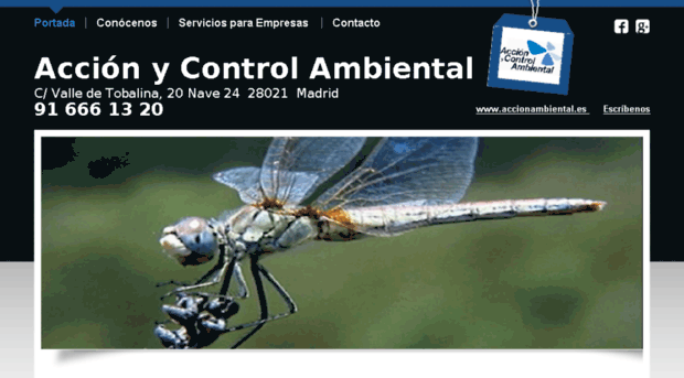 accioncontrolambiental.es