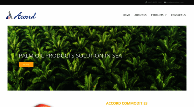 accordmy.com