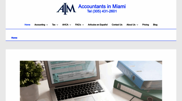 accountantsinmiami.com